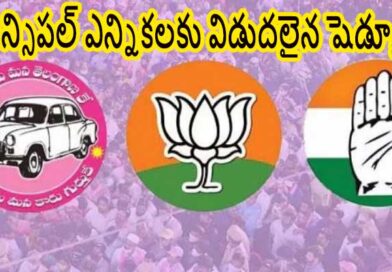 మున్సిపల్ ఎన్నికలకు విడుదలైన షెడ్యూల్