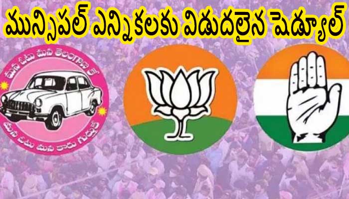 మున్సిపల్ ఎన్నికలకు విడుదలైన షెడ్యూల్