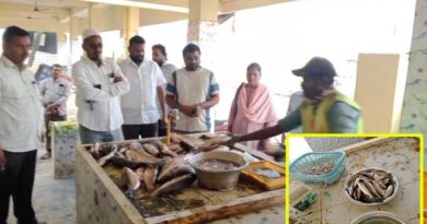 చెడిపోయిన చేపలను అంటకడుతున్న చేపల మార్కెట్ వ్యాపారస్తులు