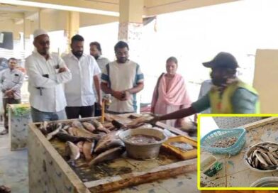 చెడిపోయిన చేపలను అంటకడుతున్న చేపల మార్కెట్ వ్యాపారస్తులు