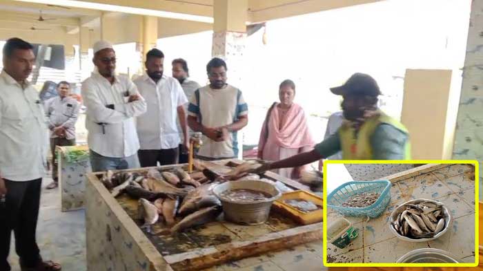 చెడిపోయిన చేపలను అంటకడుతున్న చేపల మార్కెట్ వ్యాపారస్తులు