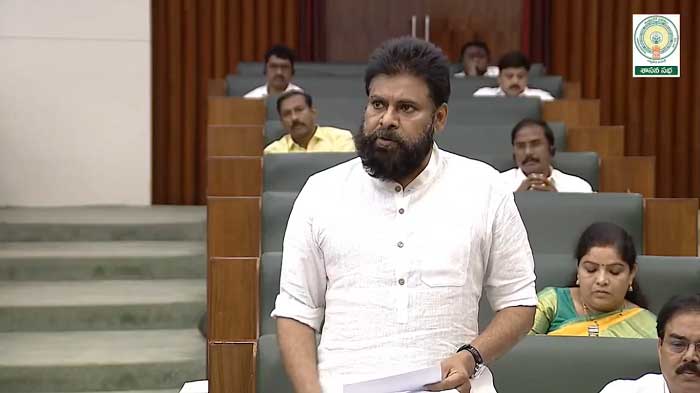 కొత్త జిల్లాల ప్రాతిపదికన జడ్పీ ఎన్నికలు-ఉప ముఖ్యమంత్రి పవన్ కళ్యాణ్