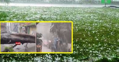 హైదరాబాద్​లో వడగండ్ల వాన-నేలకొరిగిన భారీ వృక్షం