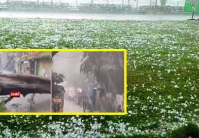 హైదరాబాద్​లో వడగండ్ల వాన-నేలకొరిగిన భారీ వృక్షం