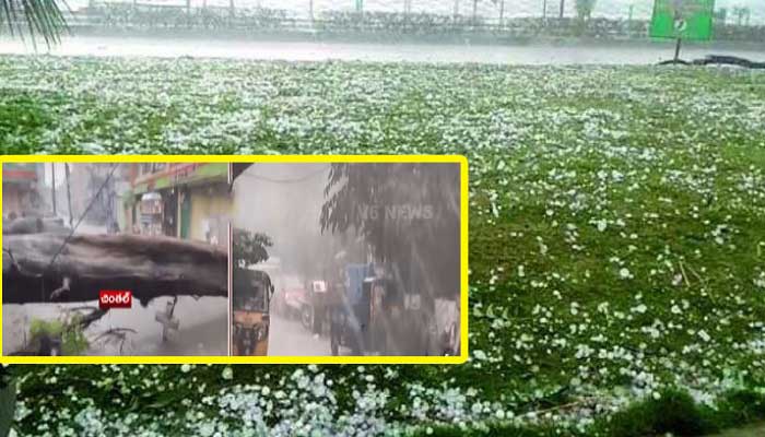 హైదరాబాద్​లో వడగండ్ల వాన-నేలకొరిగిన భారీ వృక్షం