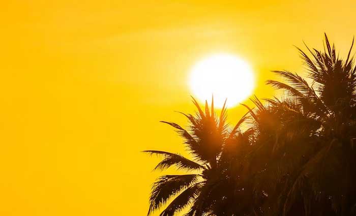 కడపలో గరిష్ఠంగా 44.4°C నమోదైందు-విపత్తుల నిర్వహణ సంస్థ