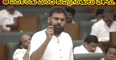 ఆ పదకొండు మంది కుప్పిగంతులు వేశారు-పవన్ కళ్యాణ్