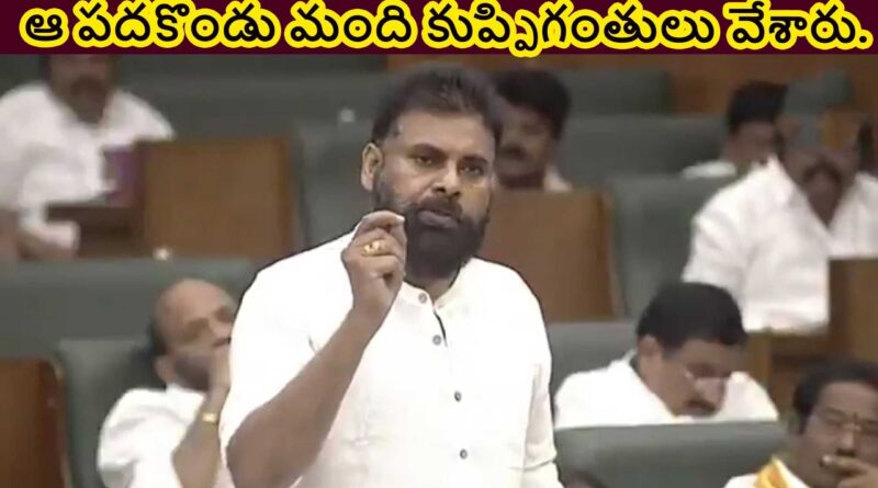 ఆ పదకొండు మంది కుప్పిగంతులు వేశారు-పవన్ కళ్యాణ్
