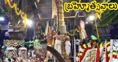 శ్రీకాళహస్తీశ్వరుని బ్రహ్మోత్సవాలకు దేవగణానికి స్వాగతం