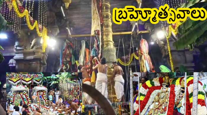 శ్రీకాళహస్తీశ్వరుని బ్రహ్మోత్సవాలకు దేవగణానికి స్వాగతం