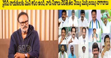 వైసీపీ నాయకులకు ముని శాపం ఉంది, వారు నిజాలు చెబితే,తల వెయ్యి ముక్కలయ్యి-నాగాబాబు 