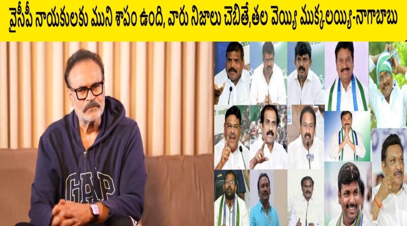 వైసీపీ నాయకులకు ముని శాపం ఉంది, వారు నిజాలు చెబితే,తల వెయ్యి ముక్కలయ్యి-నాగాబాబు 