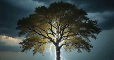 రాగల 3 గంటల్లో పిడుగులతో కూడిన ​మోస్తరు వర్షాలు కురిసే ఆవకాశం