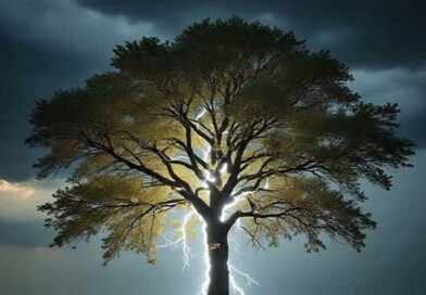 రాగల 3 గంటల్లో పిడుగులతో కూడిన ​మోస్తరు వర్షాలు కురిసే ఆవకాశం