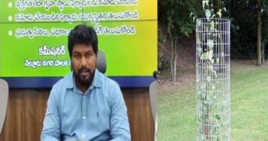 ట్రీ గార్డ్స్ లను దొంగిలించి స్క్రాప్ పాత ఇనుప సామాన్లకు అమ్మితే-కమీషనర్