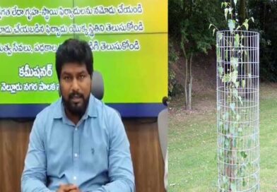 ట్రీ గార్డ్స్ లను దొంగిలించి స్క్రాప్ పాత ఇనుప సామాన్లకు అమ్మితే-కమీషనర్