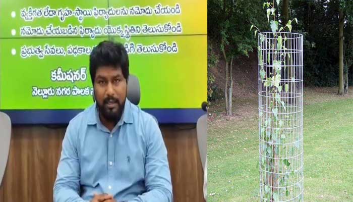 ట్రీ గార్డ్స్ లను దొంగిలించి స్క్రాప్ పాత ఇనుప సామాన్లకు అమ్మితే-కమీషనర్