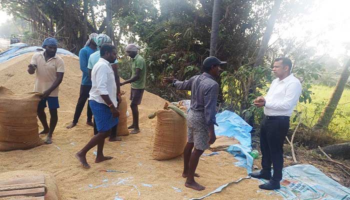 ధాన్య సేకరణను క్షేత్రస్థాయి పరిశీలించిన కలెక్టర్ హిమాన్షు శుక్లా