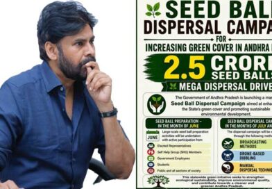 మహా యజ్ఞంలా విత్తన బంతుల తయారీ, పంపిణీ-ఉప ముఖ్యమంత్రి