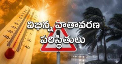 ఆదివారం పిడుగులతో కూడిన తేలికపాటి వర్షాలు కురిసే అవకాశం