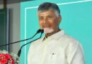ఈ నెల 19న ముఖ్యమంత్రి  చంద్రబాబు నెల్లూరు జిల్లా పర్యటన-కలెక్టర్