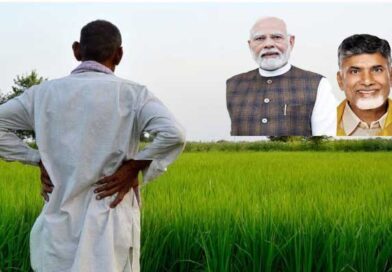 అన్నదాతల ఖాతాల్లోకి శనివారం సుఖీభవ నిధులు రూ.7 వేలు-సీ.ఎం చంద్రబాబు అన్నదాతల ఖాతాల్లోకి శనివారం సుఖీభవ నిధులు రూ.7 వేలు-సీ.ఎం చంద్రబాబు