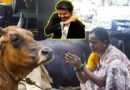 గోవధపై నిషేధం ఎత్తివేయాలంటూ సుప్రీంకోర్డులో ఫిటీషన్ దాఖలు చేసిన విజయ్ ప్రభుత్వం
