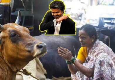 గోవధపై నిషేధం ఎత్తివేయాలంటూ సుప్రీంకోర్డులో ఫిటీషన్ దాఖలు చేసిన విజయ్ ప్రభుత్వం