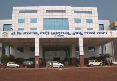 కడప, నెల్లూరు ప్రభుత్వ వైద్య కళాశాలలకు 75, 25 చొప్పున అదనపు సీట్లు మంజూరు