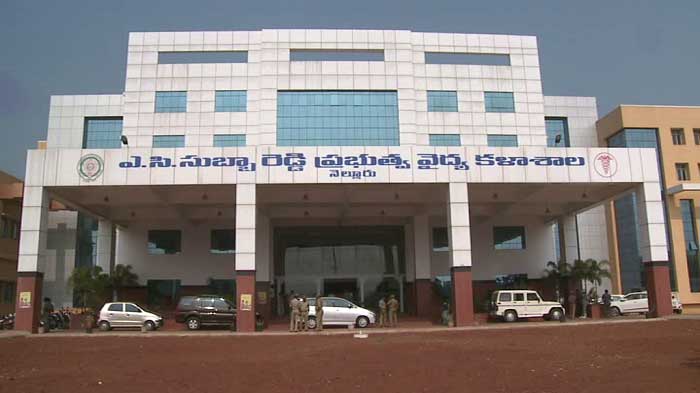 కడప, నెల్లూరు ప్రభుత్వ వైద్య కళాశాలలకు 75, 25 చొప్పున అదనపు సీట్లు మంజూరు