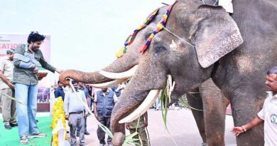 కుంకీ ఏనుగులకు స్వయంగా ఆహారం అందించిన- ఉప ముఖ్యమంత్రి పవన్ కళ్యాణ్