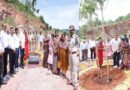 గత ప్రభుత్వానికి నరకడం తప్ప… నాటే ఆలోచనే రాలేదు-నాగబాబు గత ప్రభుత్వానికి నరకడం తప్ప… నాటే ఆలోచనే రాలేదు-నాగబాబు