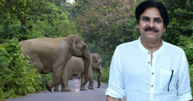 ఏనుగుల సంచారం పట్ల నిరంతరం అప్రమత్తంగా వ్యవహరించాలి-ఉపముఖ్యమంత్రి పవన్ కళ్యాణ్ ఏనుగుల సంచారం పట్ల నిరంతరం అప్రమత్తంగా వ్యవహరించాలి-ఉపముఖ్యమంత్రి పవన్ కళ్యాణ్