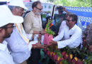 పచ్చదనమే భావి తరాల భద్రతకు పునాది-నాగబాబు పచ్చదనమే భావి తరాల భద్రతకు పునాది-నాగబాబు