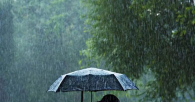 రాష్ట్రంలో ఆదివారం పిడుగులతో కూడిన మోస్తరు వర్షాలు కురిసే అవకాశం-విపత్తుల నిర్వహణ సంస్థ రాష్ట్రంలో ఆదివారం పిడుగులతో కూడిన మోస్తరు వర్షాలు కురిసే అవకాశం-విపత్తుల నిర్వహణ సంస్థ