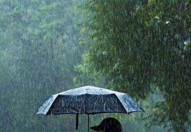 రాష్ట్రంలో ఆదివారం పిడుగులతో కూడిన మోస్తరు వర్షాలు కురిసే అవకాశం-విపత్తుల నిర్వహణ సంస్థ రాష్ట్రంలో ఆదివారం పిడుగులతో కూడిన మోస్తరు వర్షాలు కురిసే అవకాశం-విపత్తుల నిర్వహణ సంస్థ