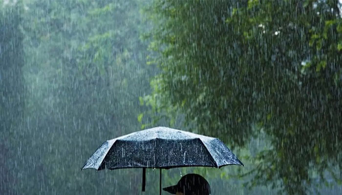 రాష్ట్రంలో ఆదివారం పిడుగులతో కూడిన మోస్తరు వర్షాలు కురిసే అవకాశం-విపత్తుల నిర్వహణ సంస్థ రాష్ట్రంలో ఆదివారం పిడుగులతో కూడిన మోస్తరు వర్షాలు కురిసే అవకాశం-విపత్తుల నిర్వహణ సంస్థ
